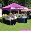 TRUE 10X10ft EZ Pop Up Canopy Folding Gazebo/Purple - As Picture
